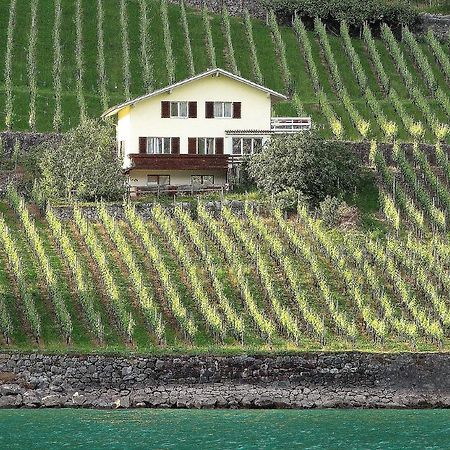 Haus Buenten Quinten エクステリア 写真