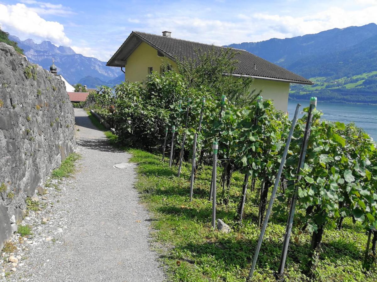 Haus Buenten Quinten エクステリア 写真