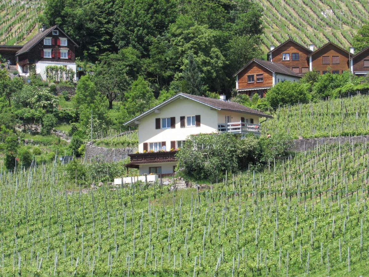 Haus Buenten Quinten エクステリア 写真
